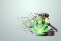 Le cannabis est-il légal en France ?